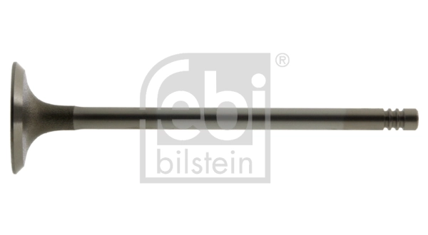 Intake Valve